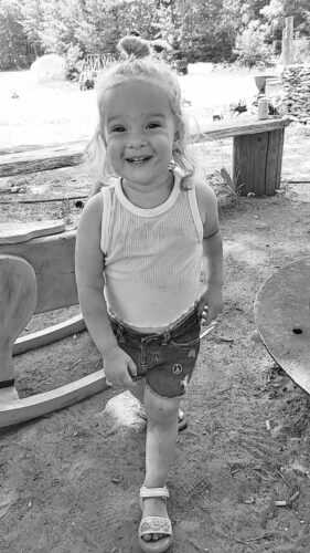 Amelia Pelto News, Sports, Jobs - The Mining Gazette